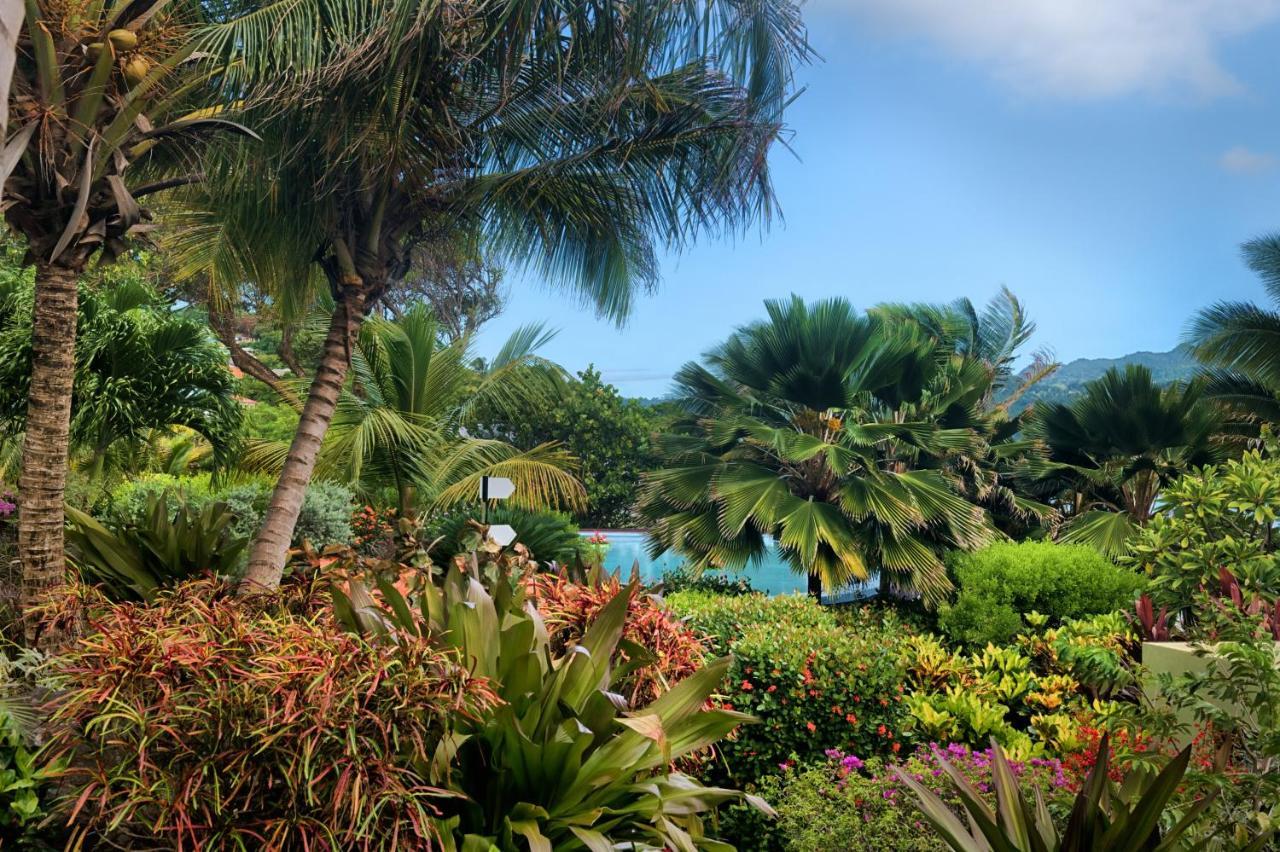 473 Grenada Boutique Resort St. George's Exterior foto